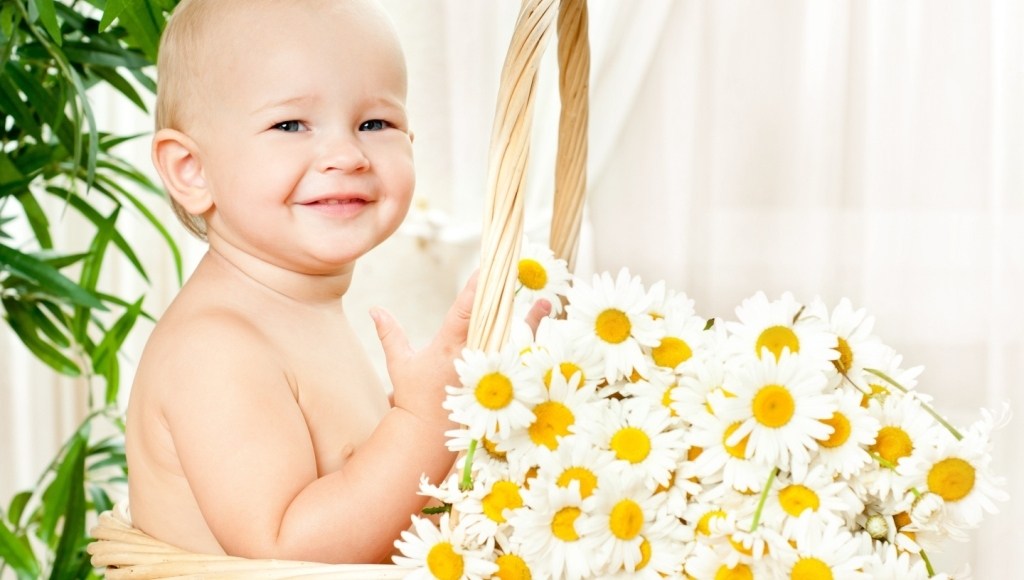 Ocho beneficios de la manzanilla tu bebé – Intervit